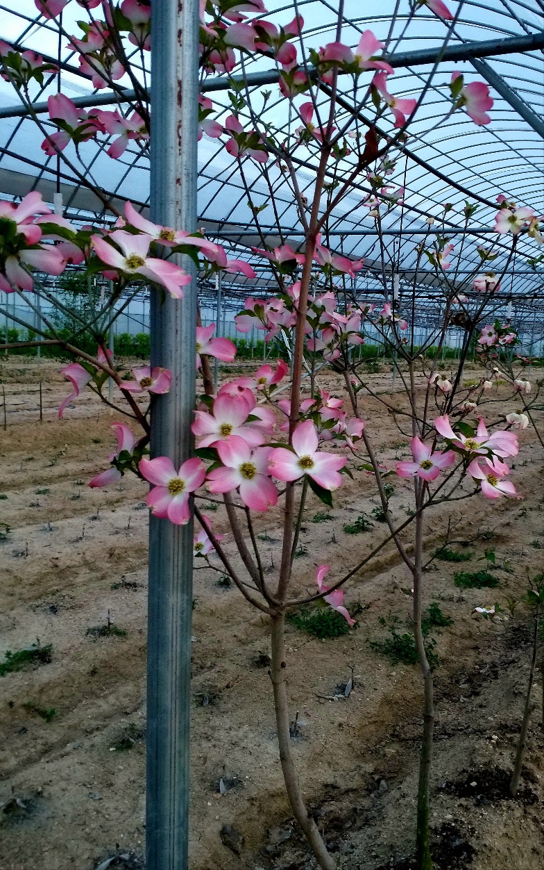 c9266139fc490c960cf6a689ef3df440_1761913167_0702.jpg c9266139fc490c960cf6a689ef3df440_1761913