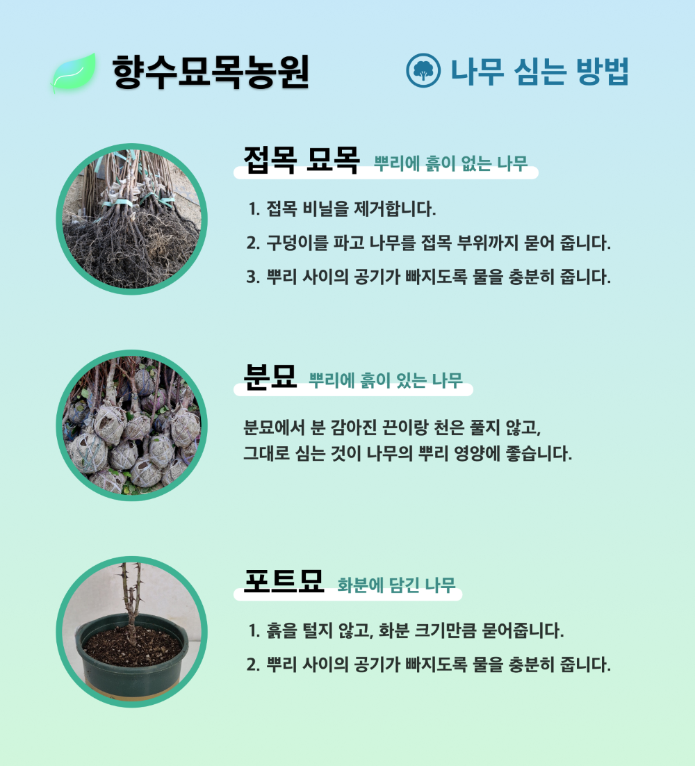 c9266139fc490c960cf6a689ef3df440_1761917