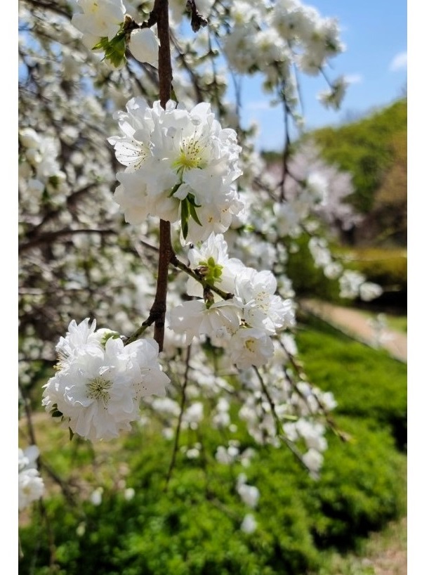 c13de6e8f29ab9711bae62b63a26de78_1762953647_3894.jpg c13de6e8f29ab9711bae62b63a26de78_1762953