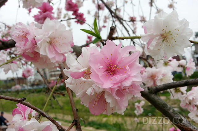 5a7b5f30a57ce936e19aacbfc2f18f29_1765460242_5768.jpg 5a7b5f30a57ce936e19aacbfc2f18f29_1765460