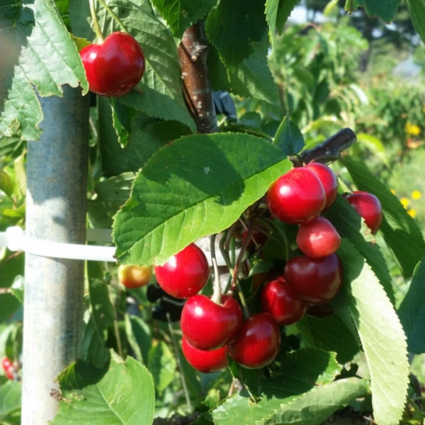 08264c6eacdb6b20663cead8448df992_1768143